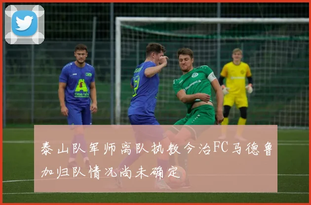泰山队军师离队执教今治FC马德鲁加归队情况尚未确定