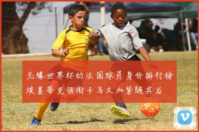无缘世界杯的法国球员身价排行榜埃基蒂克领衔卡马文加紧随其后